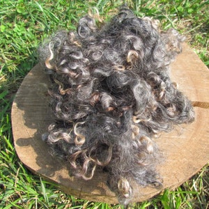 Wensleydale Locks Natural wool fleece brown, gray or ivory 2 oz image 6