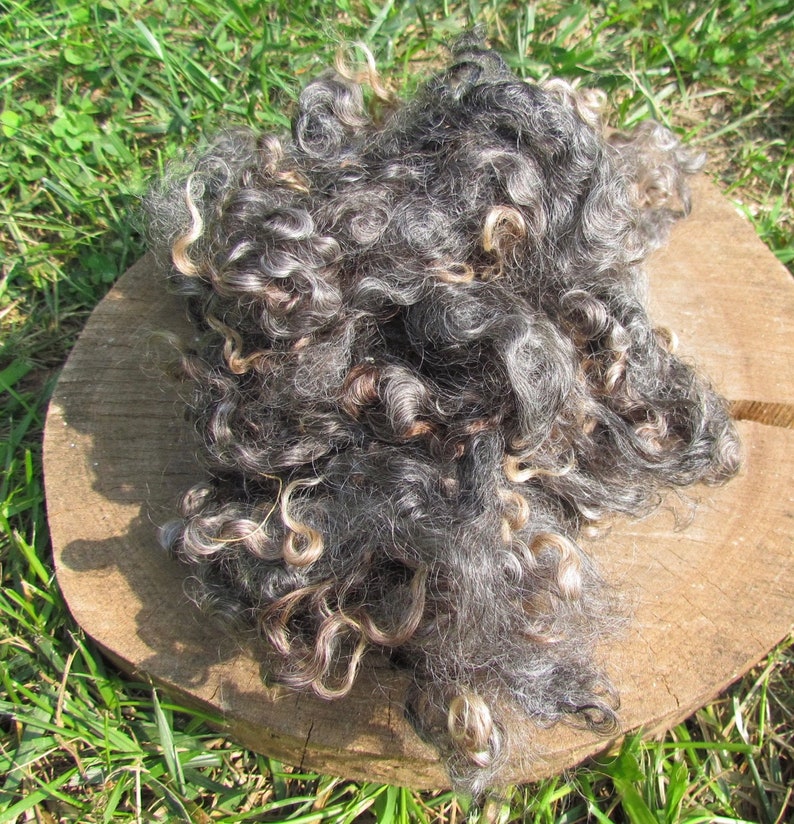 Wensleydale Locks Natural wool fleece brown, gray or ivory 2 oz image 6