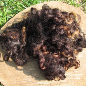 Wensleydale Locks Natural wool fleece brown, gray or ivory 2 oz image 2