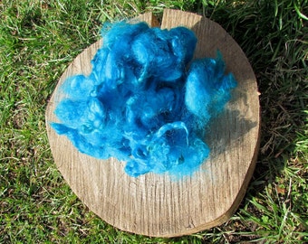 Hand dyed Turquoise Teal Cotswold Locks wool 1 oz