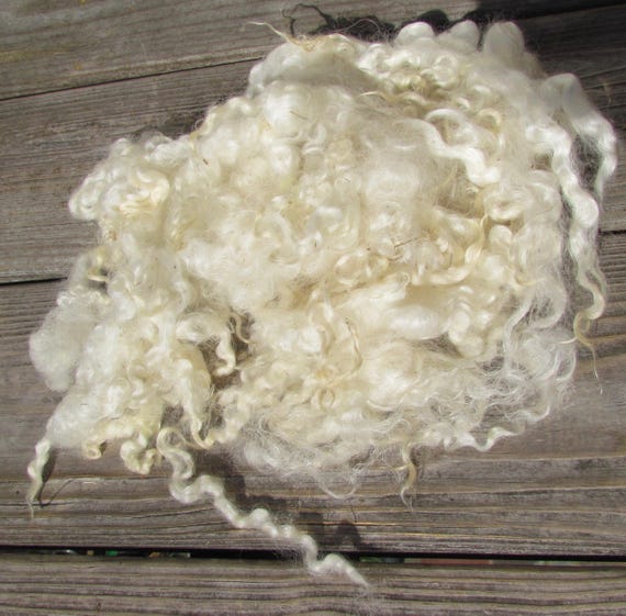 DARK GREY CURLY BLUE FACED LEICESTER WOOL LOCKS 20G FELTING SPINNING CRAFT