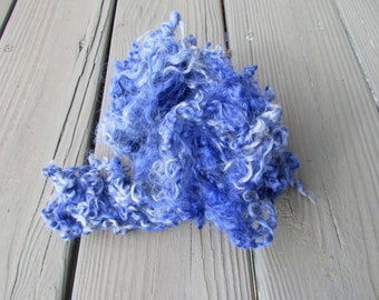 Hand dyed Periwinkle Cotswold Locks wool 1 oz