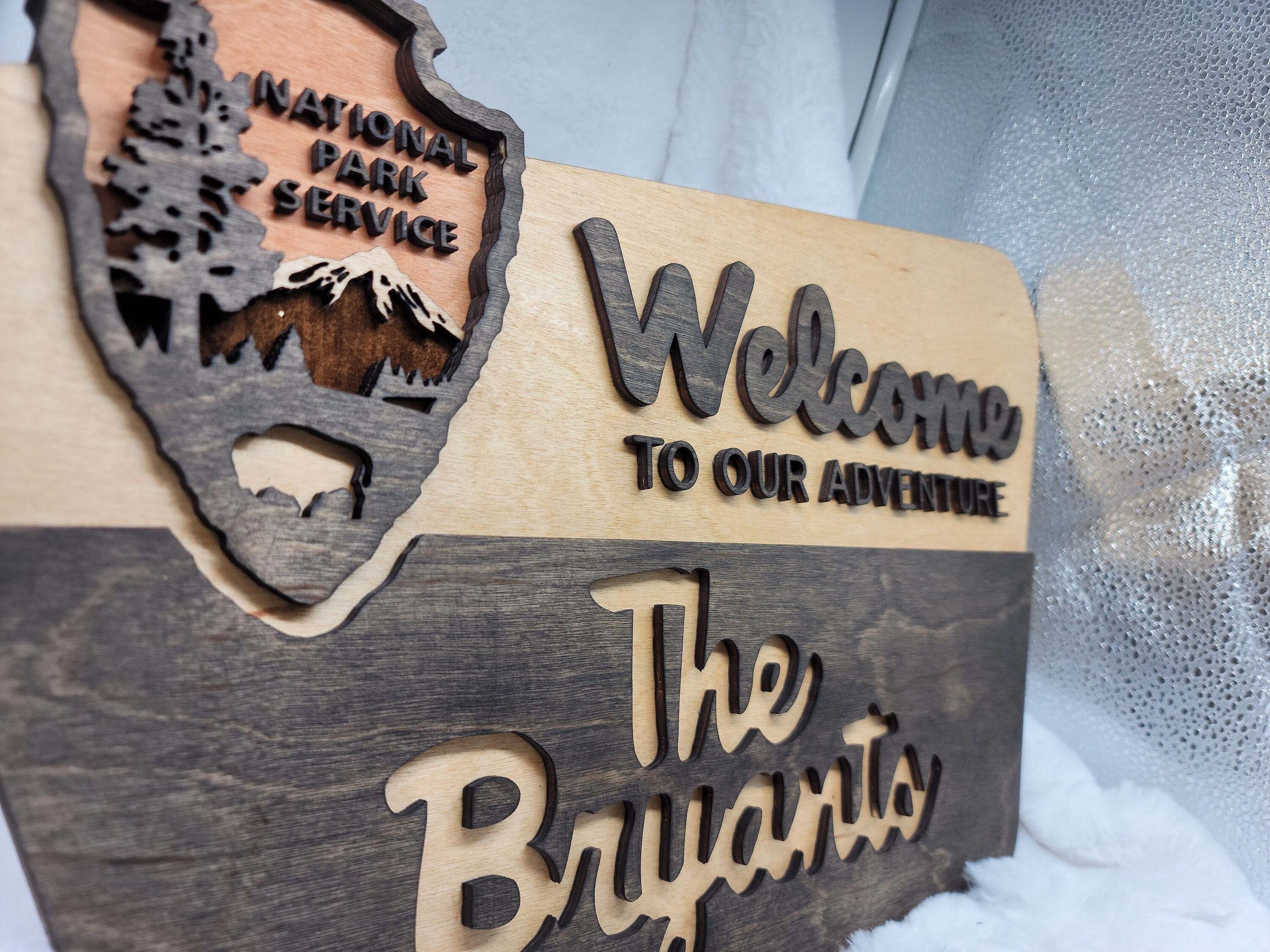 National Park Service Sign NPS inspired family name Etsy