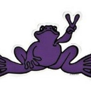 Peace Frogs Purple Frog Sticker ~ Made Of Durable Vinyl ~ 6" x 3" ~ Ships Free!
