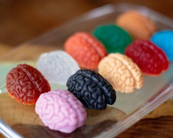 Bag of brains, soap, 10 brains, 10 soaps, random color and scent, 7 oz total, funny gift, funny present, brain soap, brains
