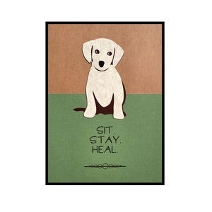 Get Well Card, "Sit Stay Heal" This cute puppy will help anyone feel better.