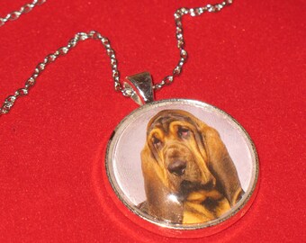 Bloodhound Dog Breed Glass Cabochon Silver Pendant Necklace 24 inch