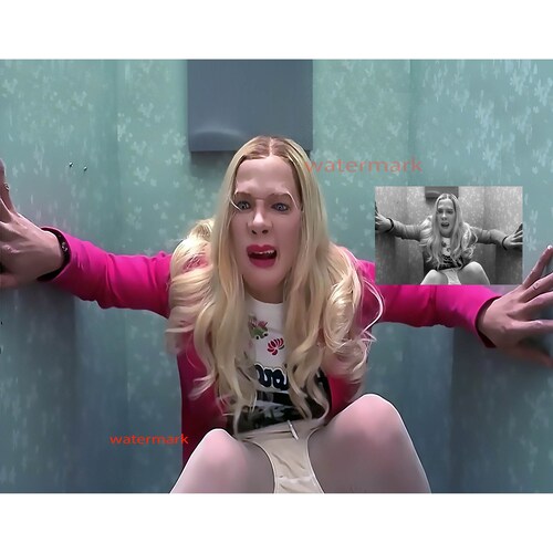 Bathroom Toilet White Chicks Movie Scene Comedy Photo Choose - Etsy