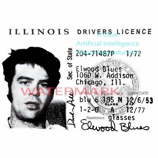 Elwood Blues (Dan Aykroyd) ILLINOIS Drivers Licence The Blues Brothers Brother Jake (John Belushi)  Black and White Photo Print Mug-shot m52