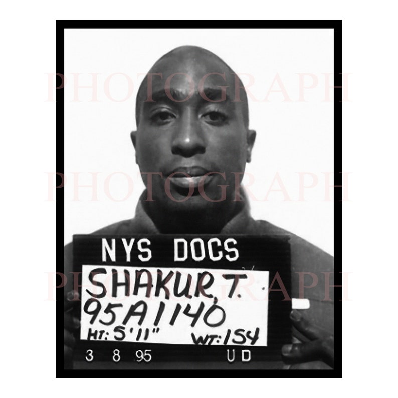 journal star mugshot journal star mugshot