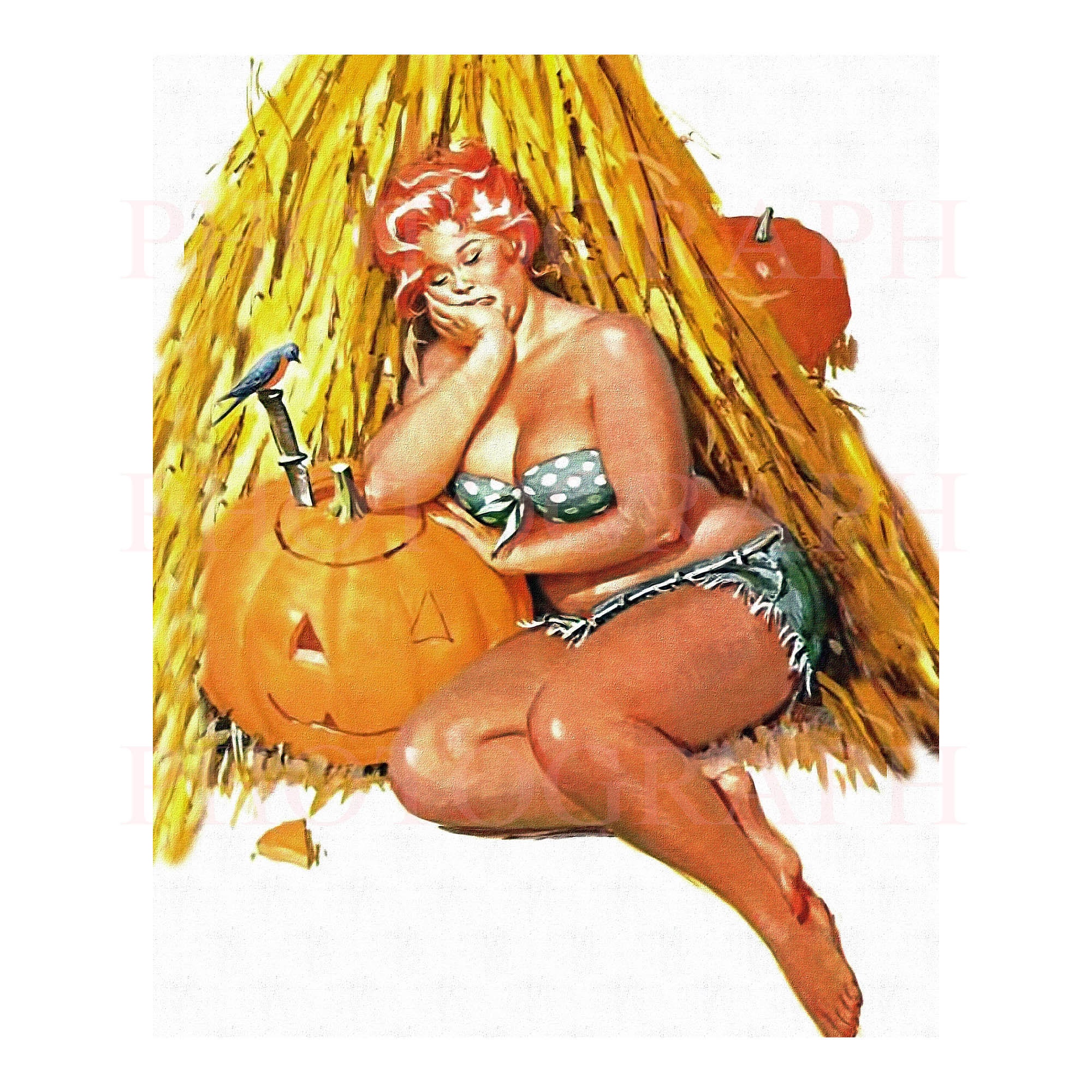 Hilda Pinup Pumpkin Sleep Remastered Voluptuous Pin-up Prime - Etsy