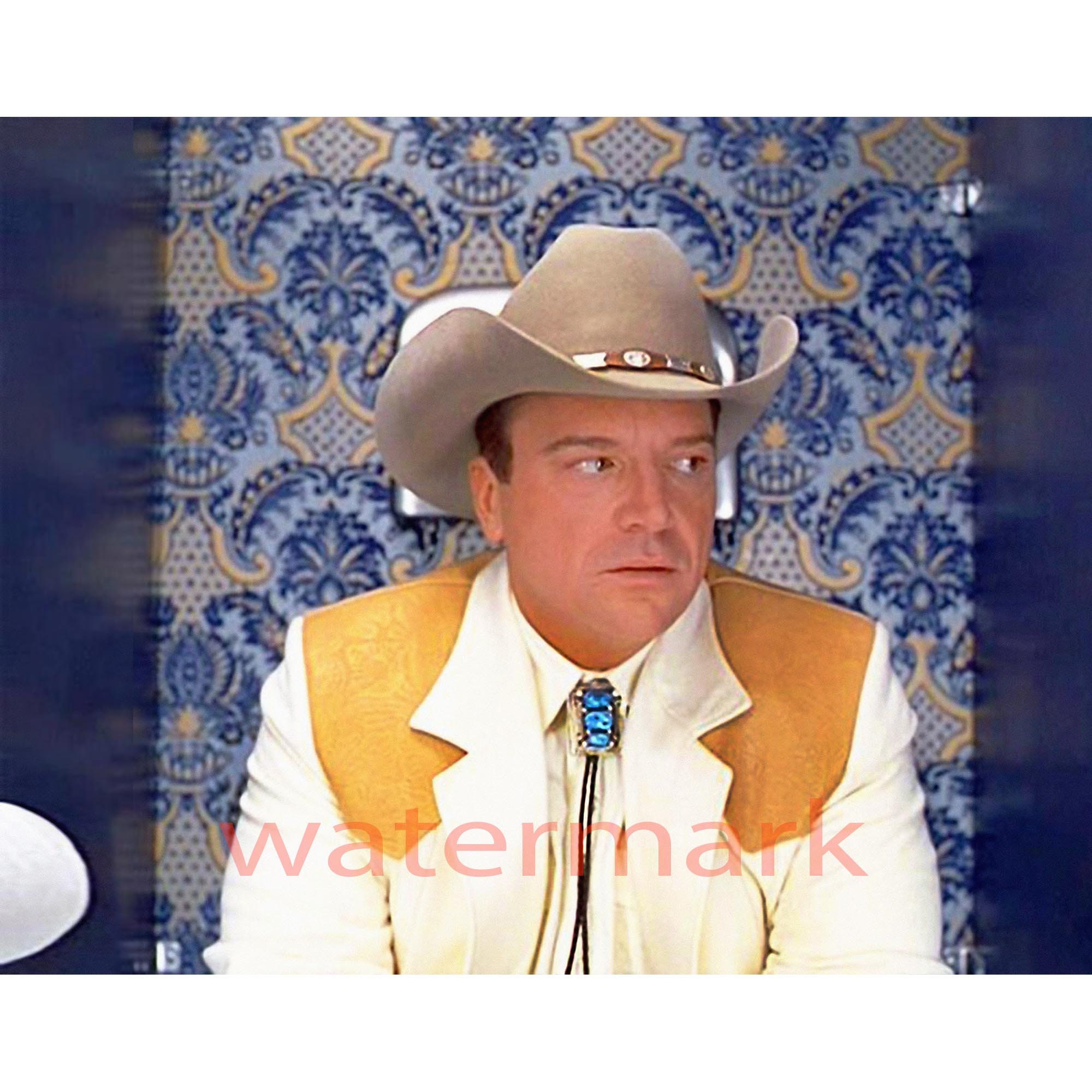 Austin Powers Man of Mystery the Cowboy in Vegas Tom Arnold - Etsy Canada