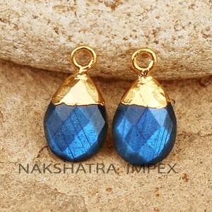 Può includere: Due ciondoli a forma di goccia placcati in oro con inserti di pietre preziose blu. I ciondoli hanno un anello dorato nella parte superiore per il fissaggio a gioielli.