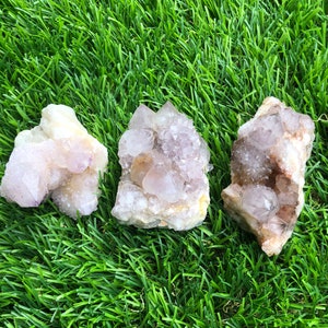 Beautiful Spirit / Cactus Amethyst Clusters  — Natural Specimen Crystal