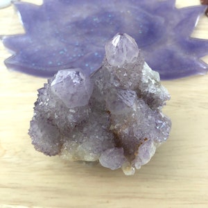 Cactus Spirit Amethyst Cluster with some Ametrine / Citrine — Natural Specimen Crystal