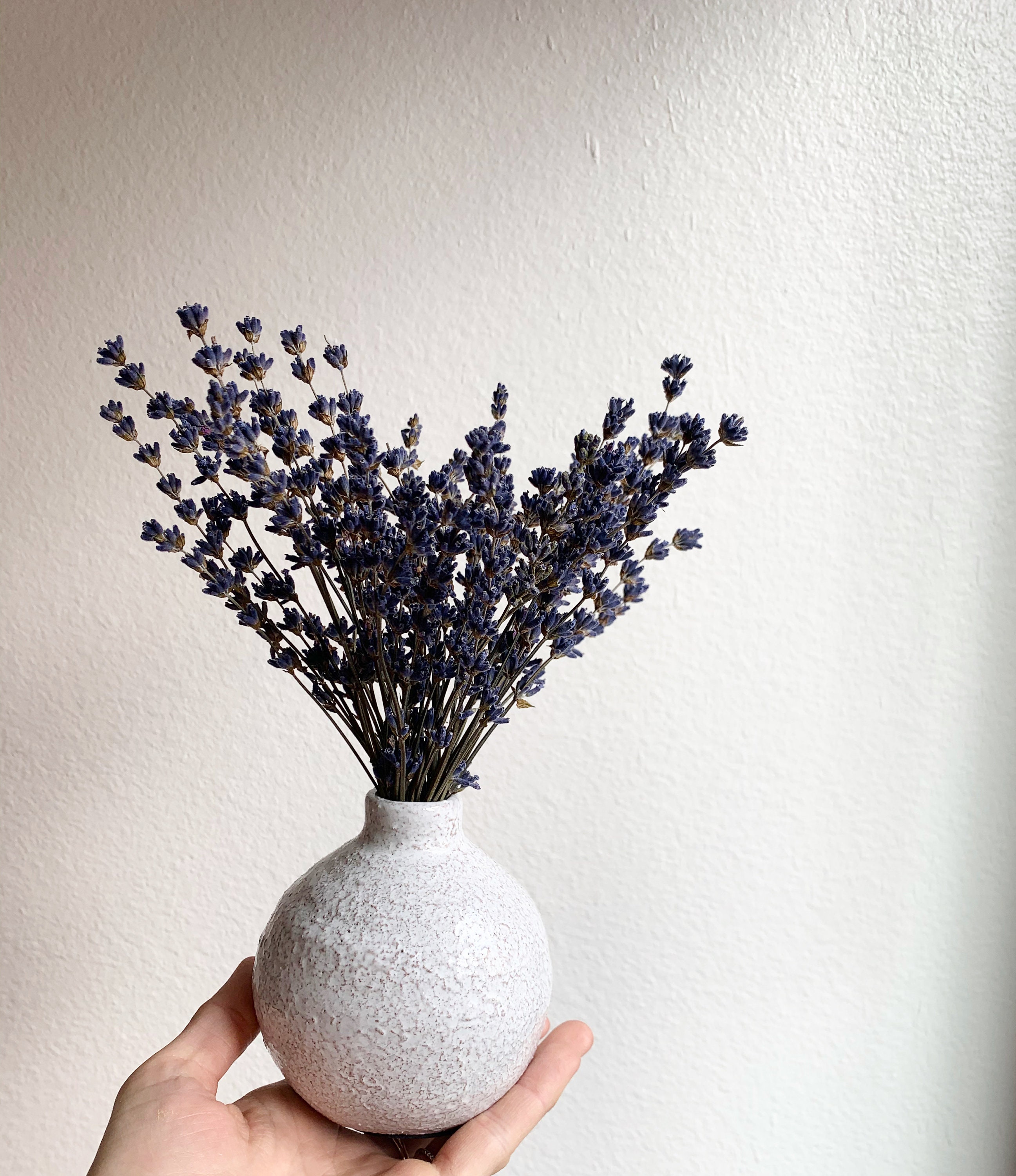 Small dried flower bud vase bouquet arrangement lavender Etsy
