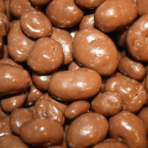 Bayside candy milk chocolate collection sugar-free milk chocolate raisins