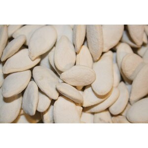May include: A close-up view of a pile of white pumpkin seeds. The seeds are all the same size and shape, and they are arranged in a random pattern.