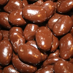 Bayside candy dark chocolate collection dark chocolate covered pistachios