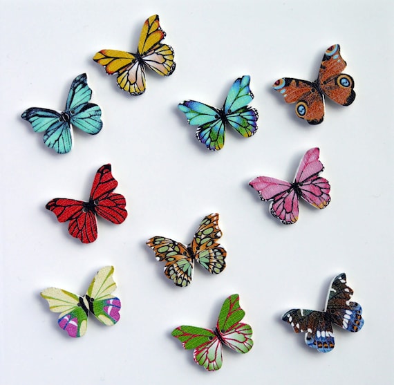 Foam Butterfly Craft (with Magnet Option)