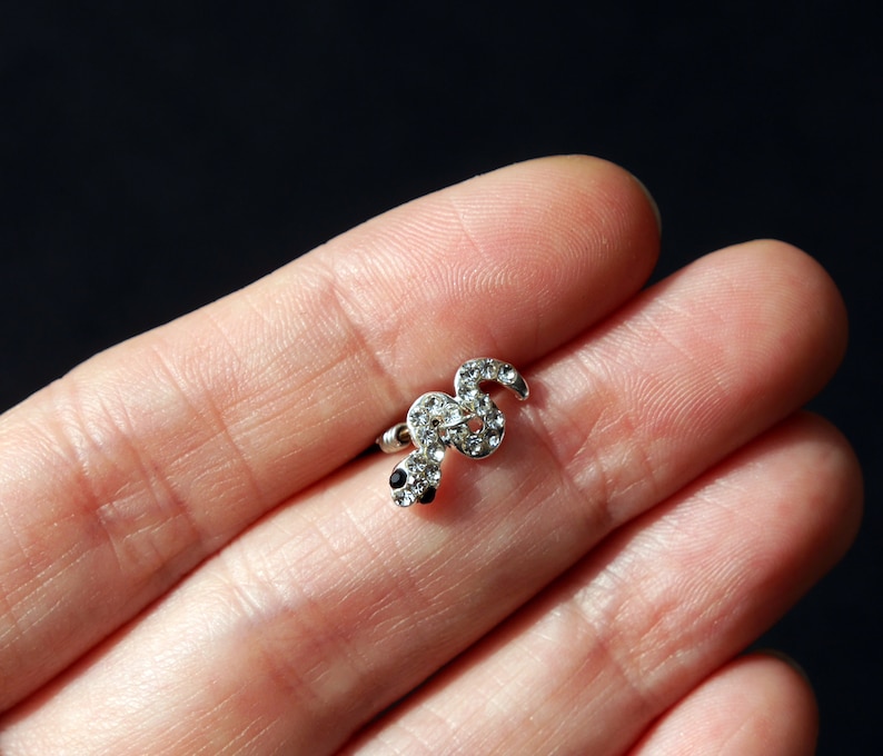 May include: A silver snake-shaped earring with clear and black rhinestones.