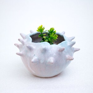 Colorful ceramic planter, Ceramic planter for cactus, succulent, air plant, Mini pot, Stoneware planter, Ceramic Planter, Pottery Planter image 8