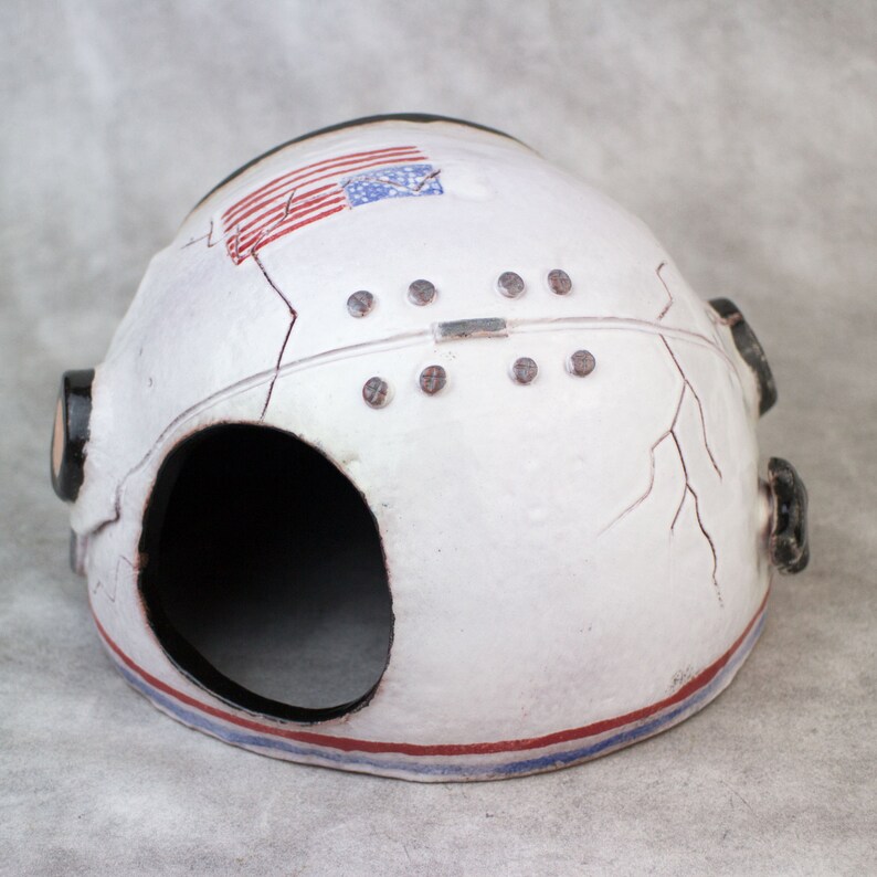 Pet Storage for python house for an axolotl Pet Supplies Aquarium decor NASA helmet Custom Order