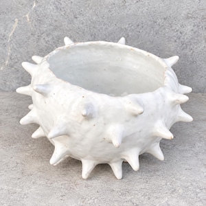 Handmade White Ceramic Planter Bowl, Textured Cactus Pot, Unique Succulent Planter, Modern Pottery Flower Pot, Decorative Plant Holder, Gift