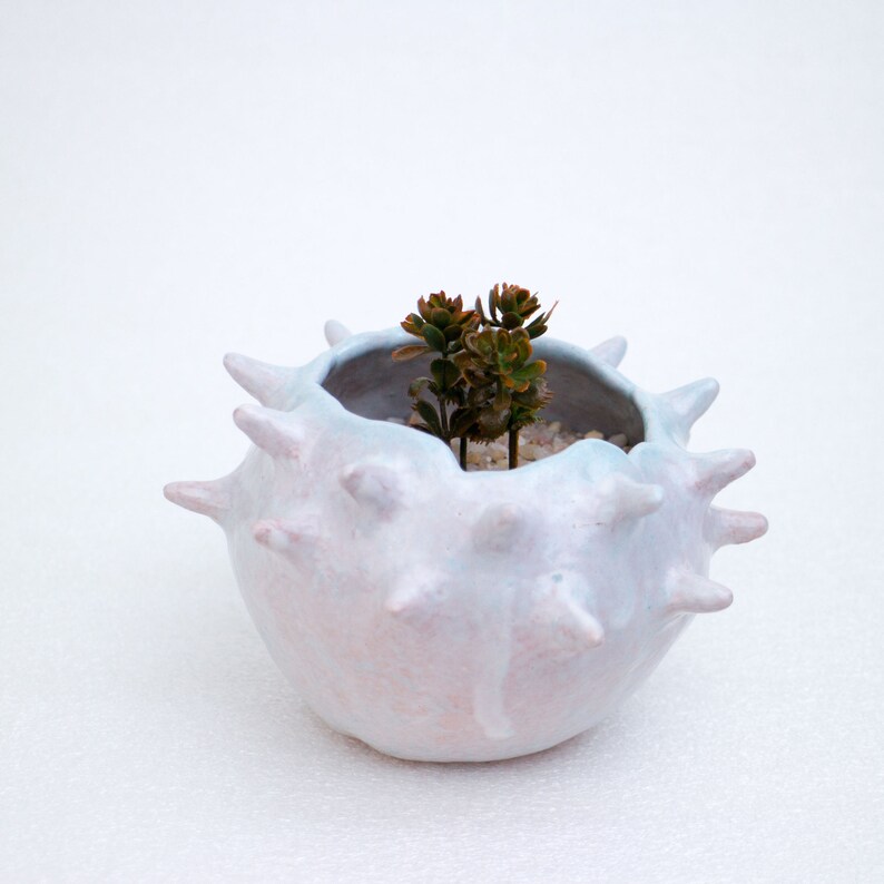 Colorful ceramic planter, Ceramic planter for cactus, succulent, air plant, Mini pot, Stoneware planter, Ceramic Planter, Pottery Planter image 7
