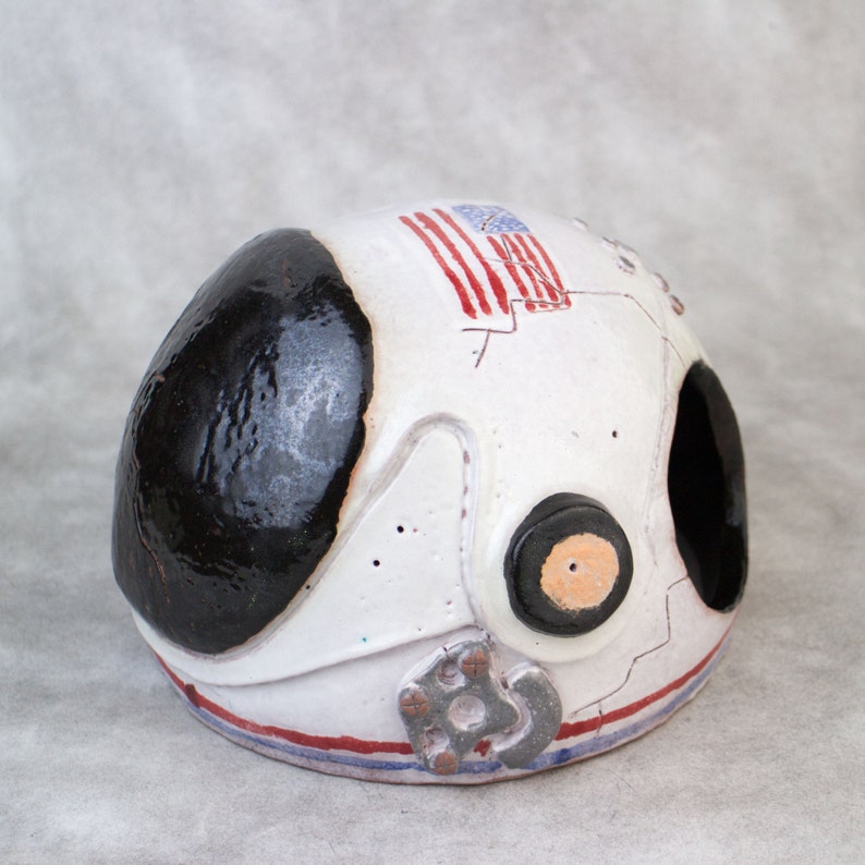 Pet Storage for python house for an axolotl Pet Supplies Aquarium decor NASA helmet Custom Order
