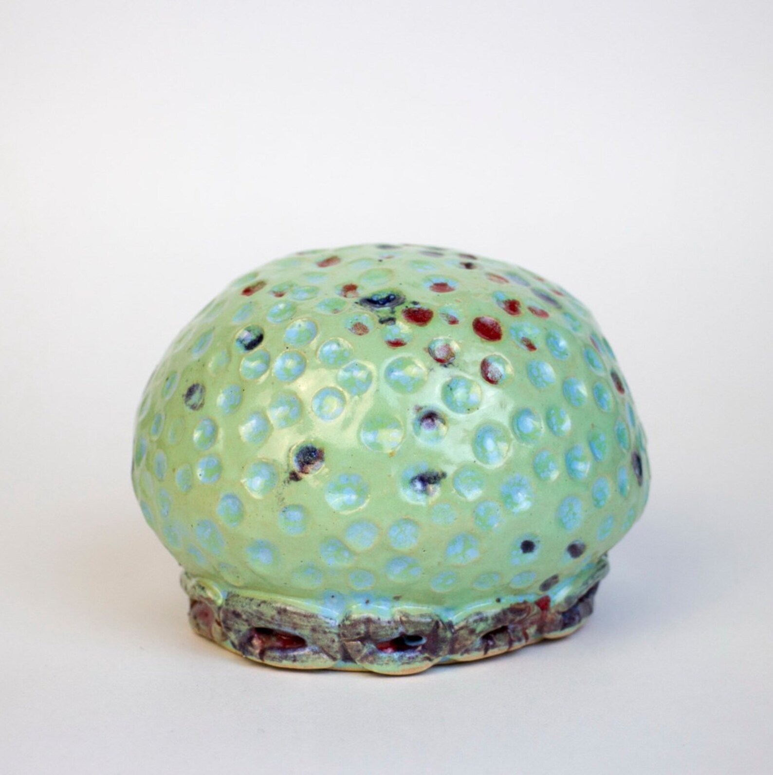 Aquarium coral ceramic decor ceramics ceramics and Etsy