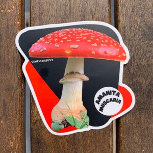 Amanita muscaria photo stickers image 1