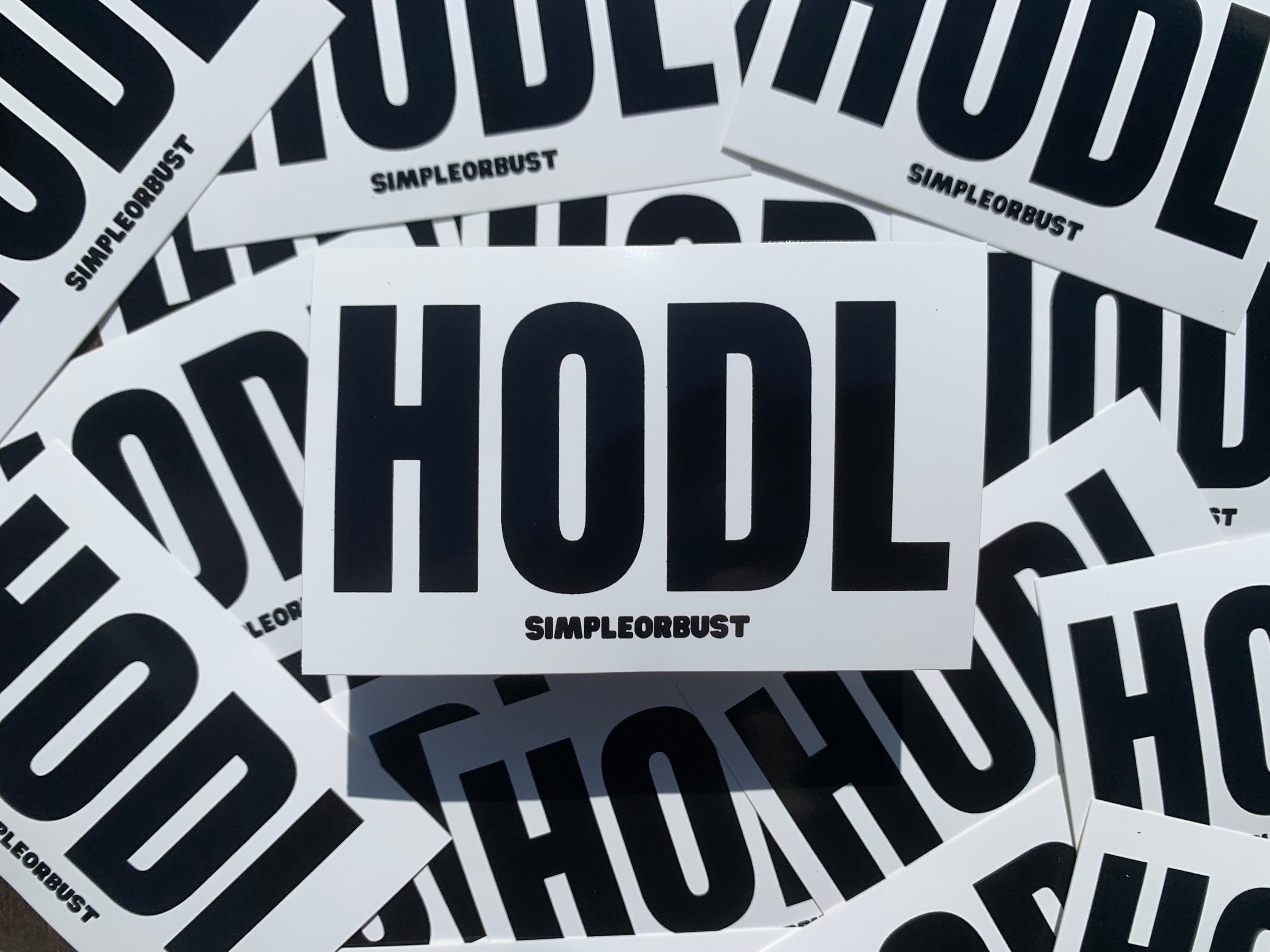 HODL Sticker! Crypto and Money - Etsy