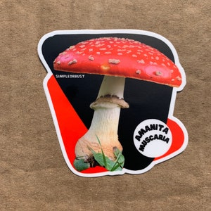 Amanita muscaria photo stickers image 2