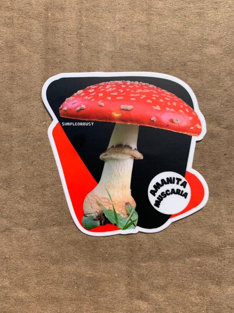 Amanita muscaria photo stickers image 2