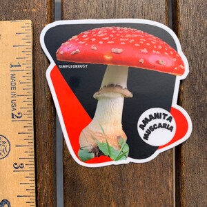 Amanita muscaria photo stickers image 3