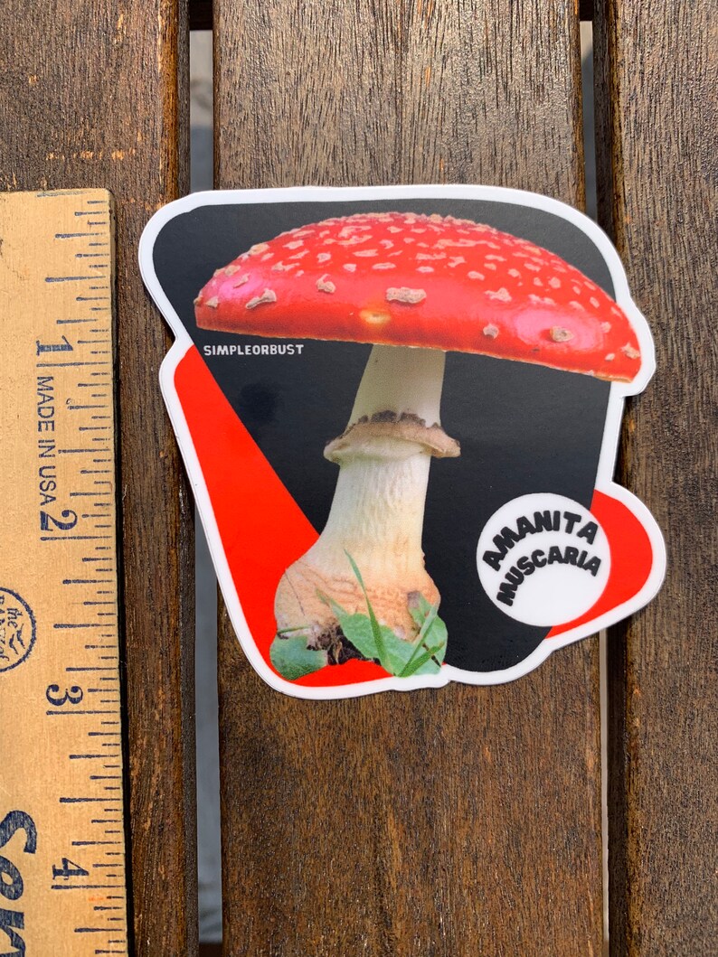 Amanita muscaria photo stickers image 3