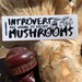 see more listings in the Mushrooms section