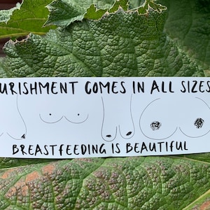 Nourishment Comes In All Sizes- Breastfeeding Sticker (multi size)