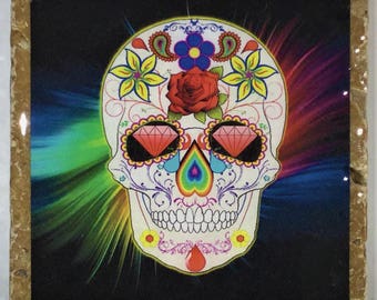 Day of the Dead Coasters 2