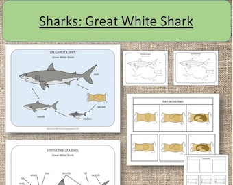 May include: A printable worksheet for kids to learn about the life cycle of a great white shark. The worksheet includes illustrations of a shark egg, a newborn shark, a juvenile shark, and an adult shark. The worksheet also includes a diagram of the external parts of a great white shark.