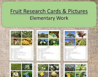 Fruit Research Cards and Pictures Elementary Montessori Homeschool