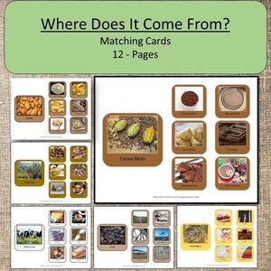 Where Does It Come From? Sequencing and Matching Cards Homeschooling Preschool Activities Science