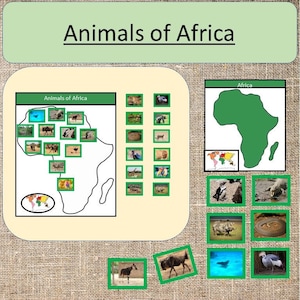 Continent of Africa Animals Activities Montessori Preschool Activities Home