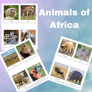 African Animal Identification  Montessori, Waldorf, Reggio Homeschooling