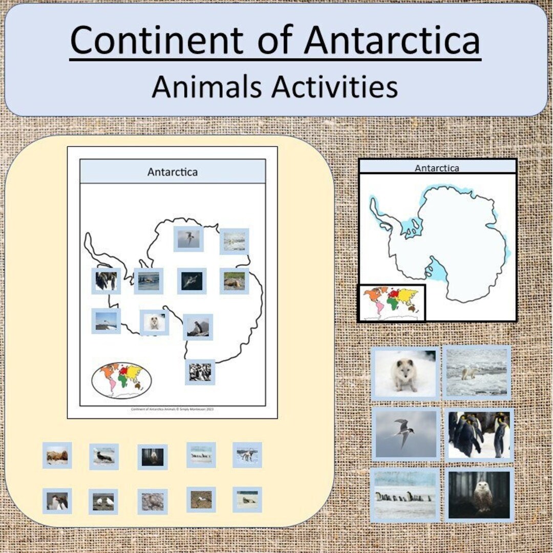 Continent of Antarctica Animal Activities - Etsy