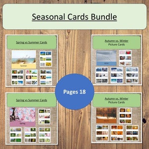 Seasons! Spring vs. Summer vs. Autumn vs. Winter Montessori