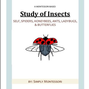 May include: A Montessori-based study guide for insects, featuring a red and black ladybug with wings. The text reads "Study of Insects" and "Self, Spiders, Honeybees, Ants, Ladybugs, & Butterflies".
