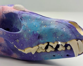 Pastel Galaxy Coyote Skull