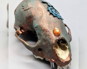 Copper painted Skunk skull